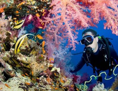 Nurkowanie z plaży w Marsa Alam