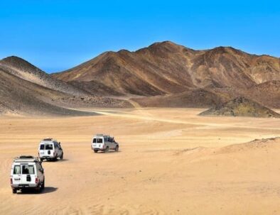 family safari