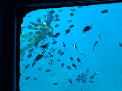 Photo from customer review