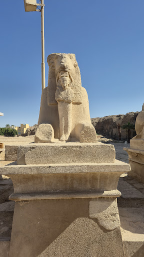 Photo from customer review