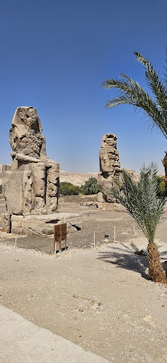 Photo from customer review